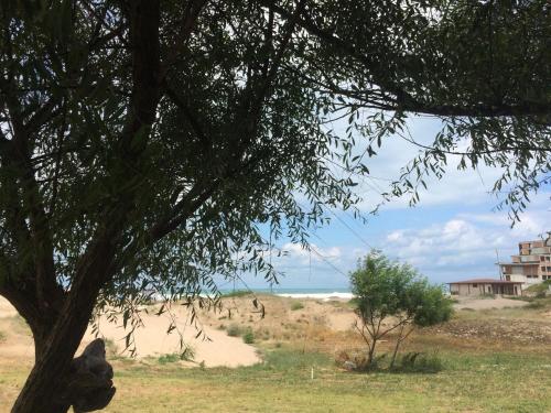 Φωτογραφία από το άλμπουμ του Bungalow "Pod Varbata" σε Lozenets