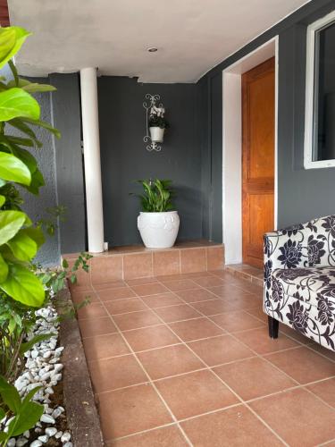a porch with a plant in a pot next to a door at Marion Lodge in Johannesburg