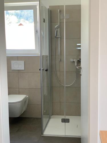 La salle de bains est pourvue d'une douche avec une porte en verre. dans l'établissement Bellevue Apartments, à Bürserberg