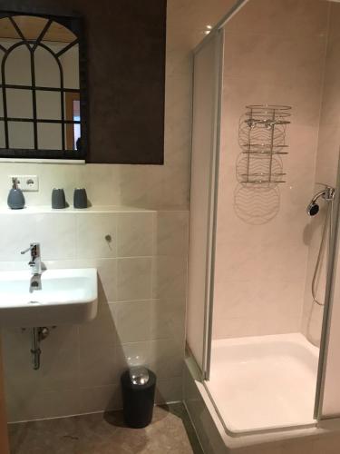 a bathroom with a shower and a sink at Ferienwohnung auf der Blue Ranch in Engen
