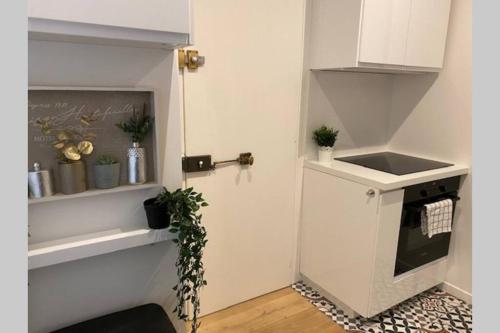 une cuisine avec un évier et une cuisinière dans l'établissement Stylist and cosy appartement in Montparnasse, à Paris