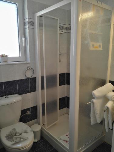 a bathroom with a shower and a toilet at Bouganville Bed & Breakfast Stegna in Archangelos