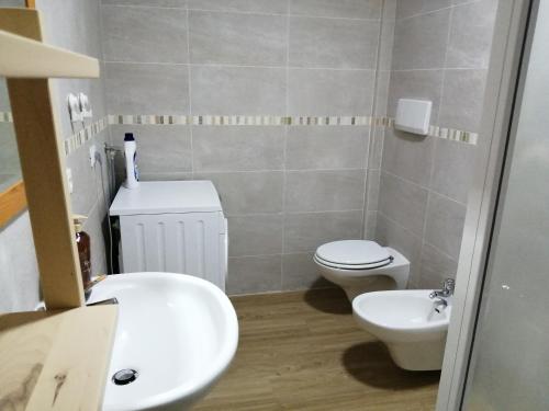 a bathroom with a toilet and a sink at Apartment Annive in Levico Terme