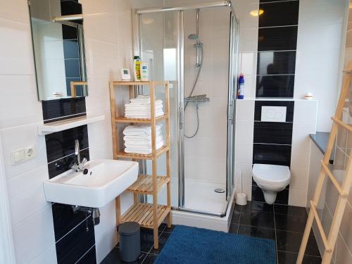 een badkamer met een douche, een wastafel en een toilet bij B&B Lisa Groningen in Haren