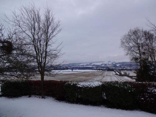 a field covered in snow with a tree in the foreground at Wester Muirhouse in Linlithgow