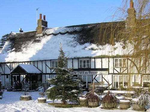 Un albero di Natale davanti a un edificio nella neve di The Willow House a Watton