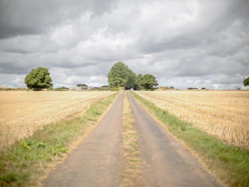 a dirt road in the middle of a field at Woodcock Farm in Bristol