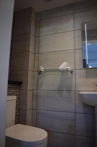 a bathroom with a toilet and a sink at Woodlyn Guest House in Gatehouse of Fleet