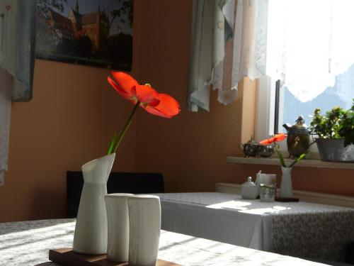 una flor roja en un jarrón blanco sobre una mesa en Pension Zur Kirchsee en Insel Poel