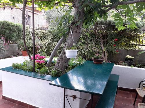 Φωτογραφία από το άλμπουμ του Luminaria Solis Vacation Home σε Rogoznica