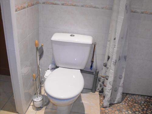 a bathroom with a white toilet and a shower at Chambres chez l'habitant Coco2 in Boulazac
