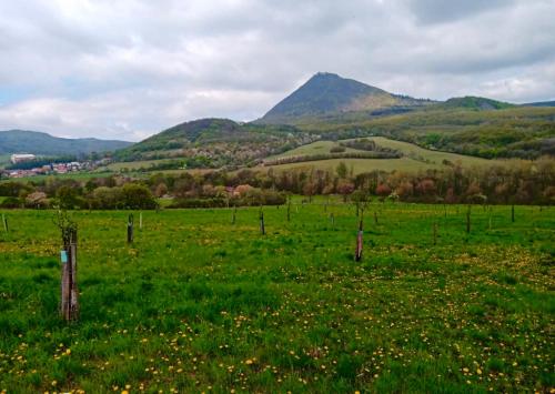 a field of green grass with a mountain in the background at Lovecký zámeček pod Milešovkou in Teplice