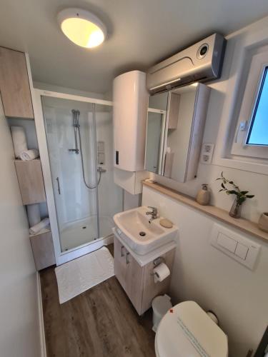 een badkamer met een wastafel, een douche en een toilet bij Marina Seahouse Brina in Portorož