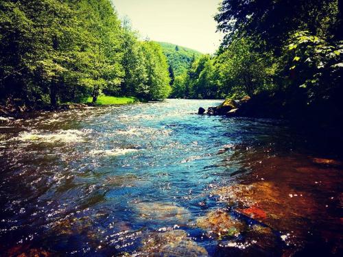a river with rocks in the water and trees at Villa Colombier in Pontgibaud