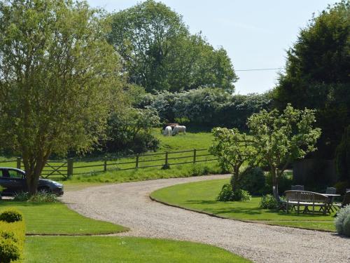 a winding road with two horses grazing in a field at Cotenham Barn in South Walsham