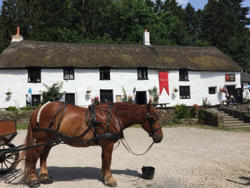 a horse pulling a carriage in front of a building at The Cridford Inn in Trusham