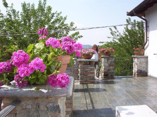 a garden with purple flowers on a patio at Il Portico in Carrosio