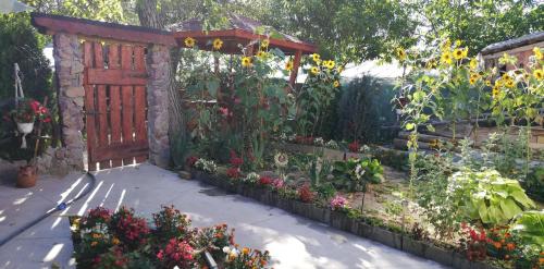 a garden with a wooden gate and a bunch of flowers at Balla House in Tărcaia