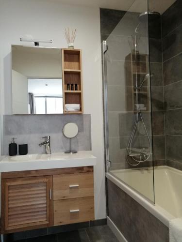 a bathroom with a sink and a shower and a tub at La Maison Grivolas Appartements et Maison d'hôtes in Avignon