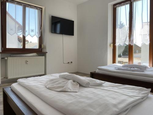 1 dormitorio con 2 camas y TV de pantalla plana en SAD110 - Gemütliche Monteurwohnungen in Schwandorf, en Schwandorf