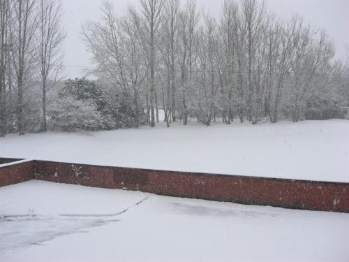 a snow covered yard with a brick wall and trees at Hamilton House in Dumfries