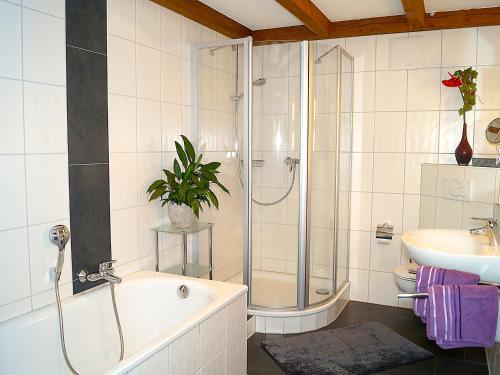 uma casa de banho com um chuveiro, uma banheira e um lavatório. em Andrea's Ferienwohnungen em Friburgo em Brisgóvia