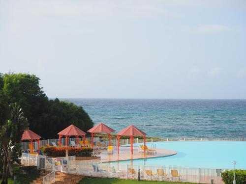 une grande piscine à côté de l'océan dans l'établissement Holidays Guadeloupe -Paradise -Anse des Rochers, à Belle-Allée