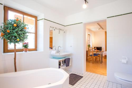 Linden的住宿－Hormannhof，浴室设有白色的浴缸和一棵树。