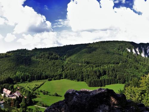 
a green hillside with a mountain range at Hotel-Gasthof Neumühle in Thiergarten
