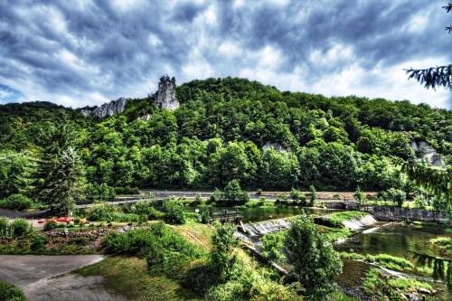 ThiergartenにあるHotel-Gasthof Neumühleの山を背景にした庭園