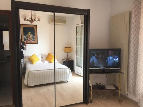 Prunelli-di-FiumorboにあるHouse Angeliのベッドルーム(ベッド1台、鏡にテレビ付)