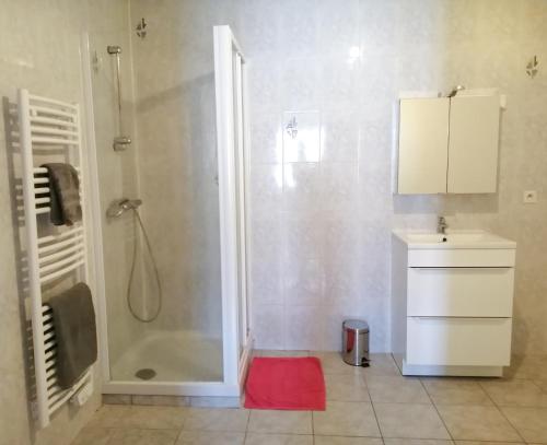 a bathroom with a shower and a red rug at Le 32 in Cognac