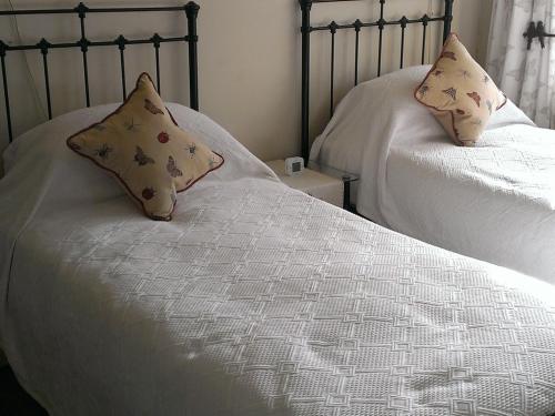 Iolanthe photo 29