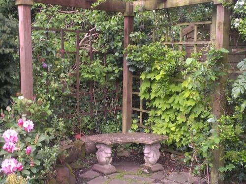 Iolanthe photo 31