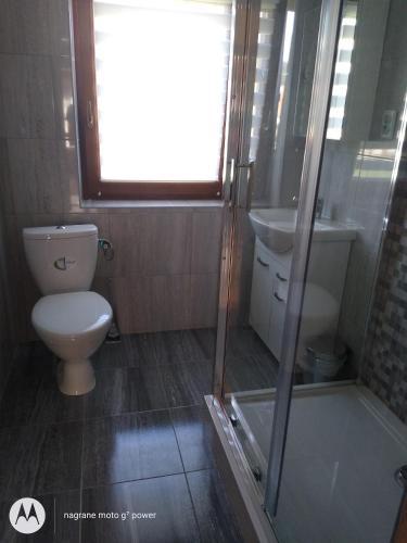 Ein Badezimmer in der Unterkunft Noclegi Pod Grapą