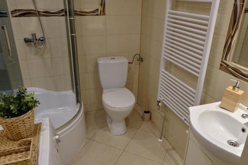 La salle de bains est pourvue de toilettes, d'une douche et d'un lavabo. dans l'établissement Słony Karmel Ciechocinek - minisanatorium, masaże, kosmetyczka, inhalacje 32 metry od tężni CAŁY NA WYŁĄCZNOŚĆ, à Ciechocinek