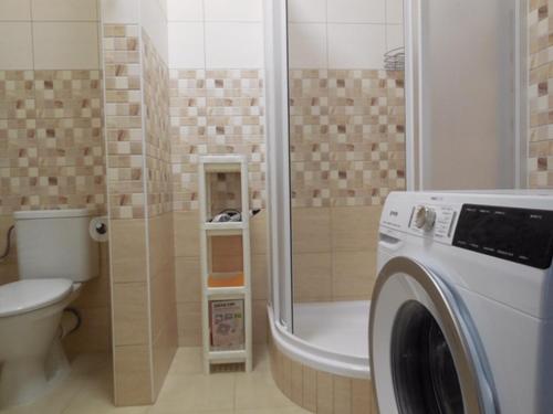 Koupelna v ubytování Apartmán Kamenice