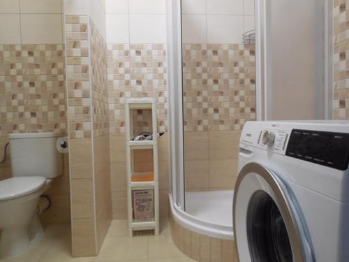 uma casa de banho com um WC e uma máquina de lavar roupa em Apartmán Kamenice em Kamenice nad Lipou