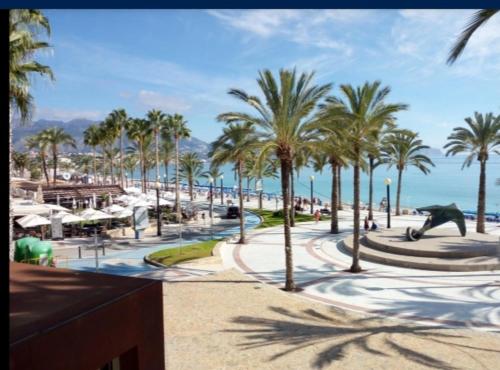 a resort with palm trees and a statue of a dinosaur at SUNSHINE Apartament in Benidorm