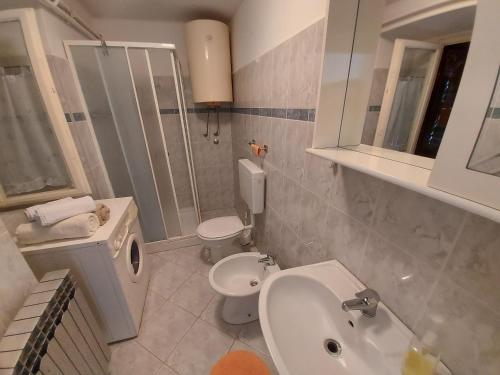a bathroom with a toilet and a sink and a shower at Apartment Boris in Labin