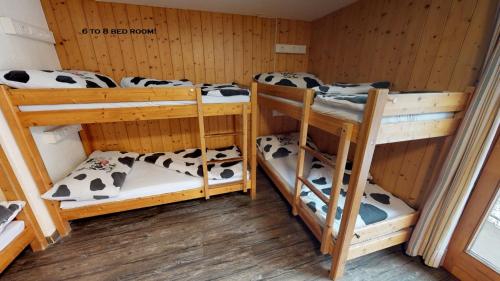 a room with three bunk beds with cows on them at Valley Hostel in Lauterbrunnen