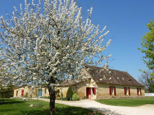 a flowering tree in front of a stone building at La Borie du Chevrier in Sainte-Croix-de-Beaumont