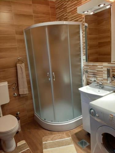 Koupelna v ubytování Apartman Šumska Tajna