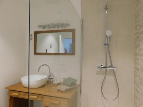 uma casa de banho com um lavatório e um chuveiro em La Maison de Paul & Margaux em Châteauneuf-de-Galaure