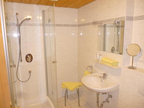 La salle de bains est pourvue d'une douche et d'un lavabo. dans l'établissement Landgasthof Berg, à Eurasburg