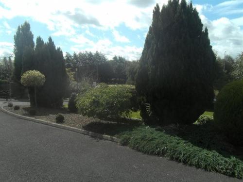 a garden with trees and bushes on the side of a road at Launard House in Kilkenny