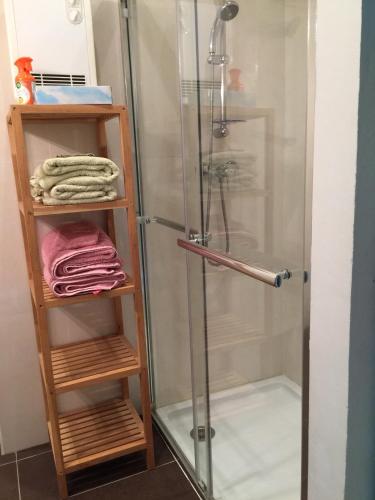 d'une douche avec une porte en verre et des étagères en bois. dans l'établissement L'oasis-LES ISSAMBRES, aux Issambres