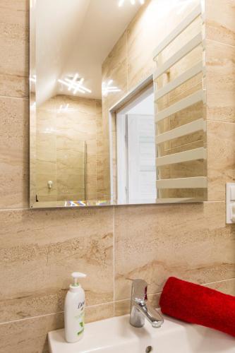 a bathroom with a sink and a mirror at STANLEJÓWKA in Swornegacie