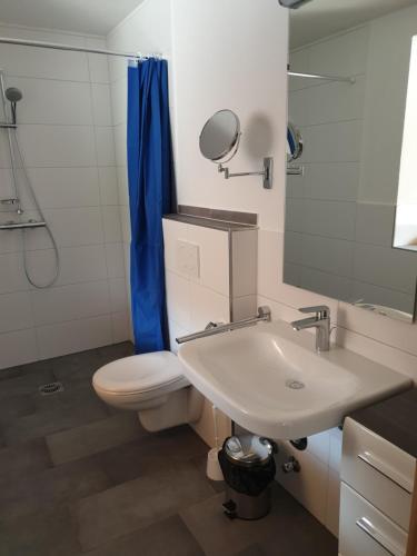 ein Badezimmer mit einem WC, einem Waschbecken und einem Spiegel in der Unterkunft Angelhof Weseloh Appartement in Bruchhausen-Vilsen