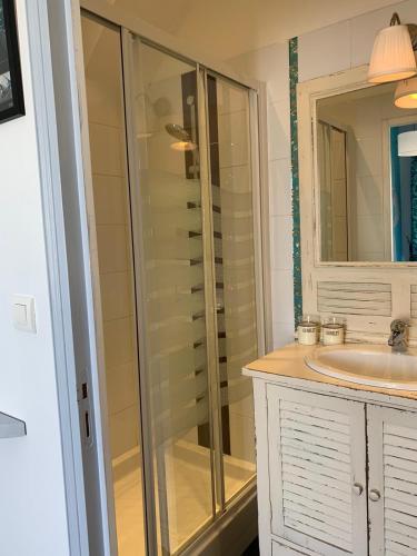 une salle de bain avec une douche en verre et un lavabo dans l'établissement La Bergerie, au Pouliguen